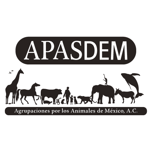 APASDEM - APASDEM .